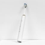 D180 High Frequency Sonic Toothbrush