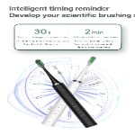 D180 High Frequency Sonic Toothbrush