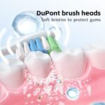 GP-P10EN LCD Screen Display Sonic Toothbrush
